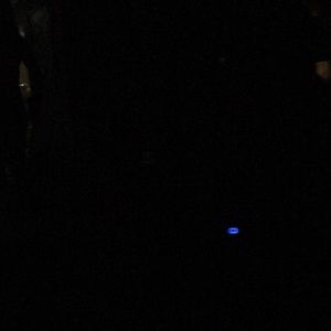 Meet your Posher, Abbey